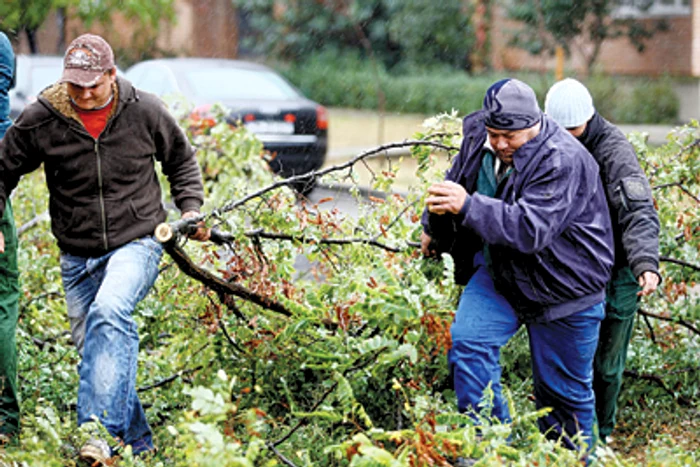 Oradea: REGIUNEA PE SCURT / Vijelia a făcut ravagii