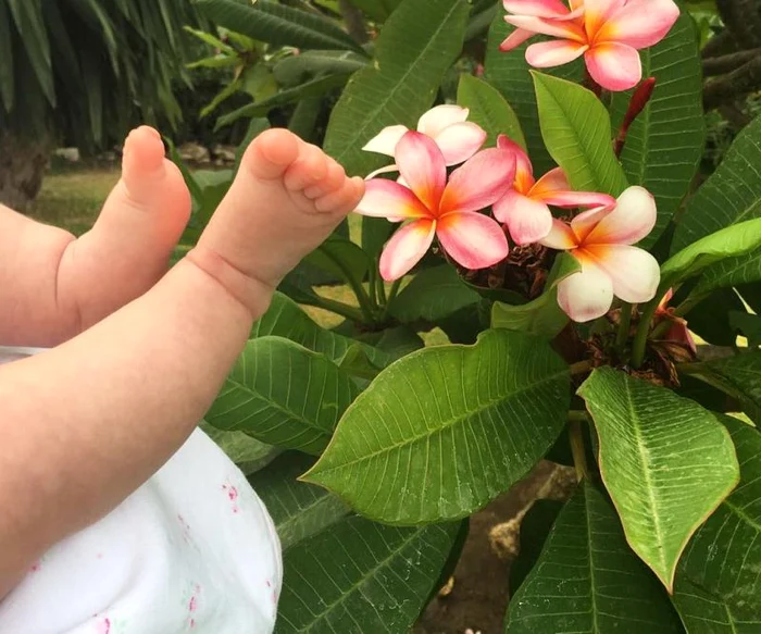 Ane Feher a devenit mămică de fetiţă în urmă cu o lună