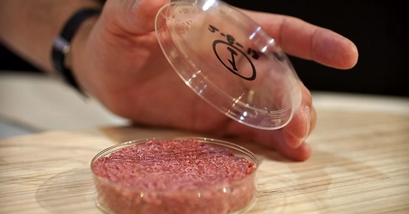 Hamburgerul cu carne creată în laborator a fost degustat săptămâna asta. FOTO The Verge