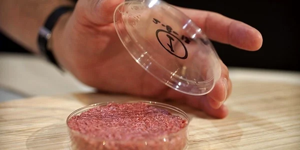 hamburger artificial foto the verge