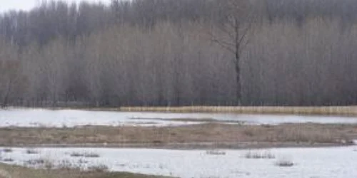 Primăriile vizate sunt în alertă în urma avertizării hidrologice