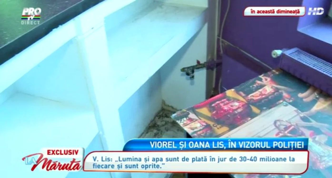 Casa-bordel a lui Viorel Lis