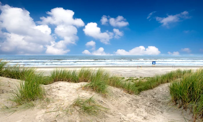 Dune de nisip pe plaja din Norderney Foto Shutterstock