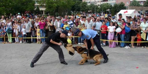 Câinii poliţişti au fost atracţia zilei
