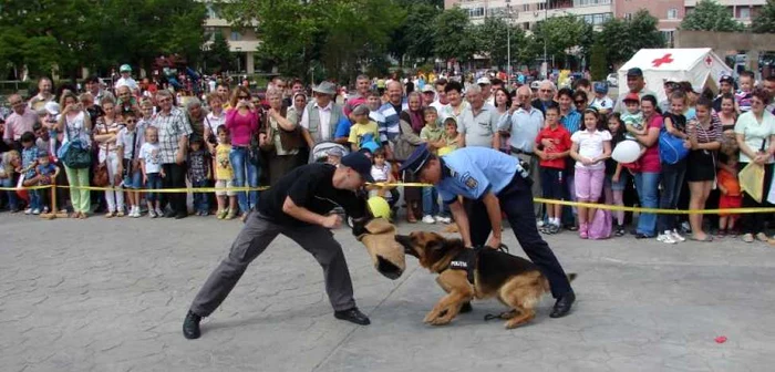 Câinii poliţişti au fost atracţia zilei