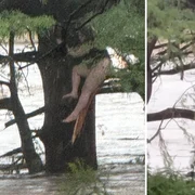 inundatii texas foto x jpg