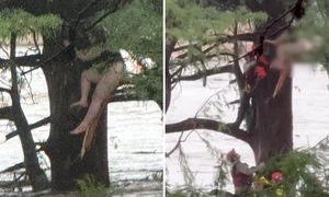 inundatii texas foto x jpg