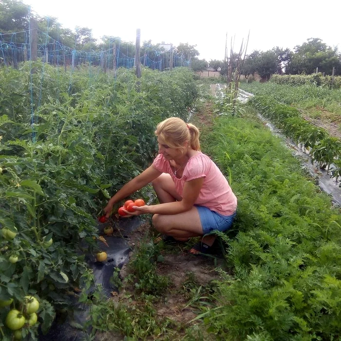 Hrana sănătoasă se produce cu multă muncă FOTo: arhiva personală