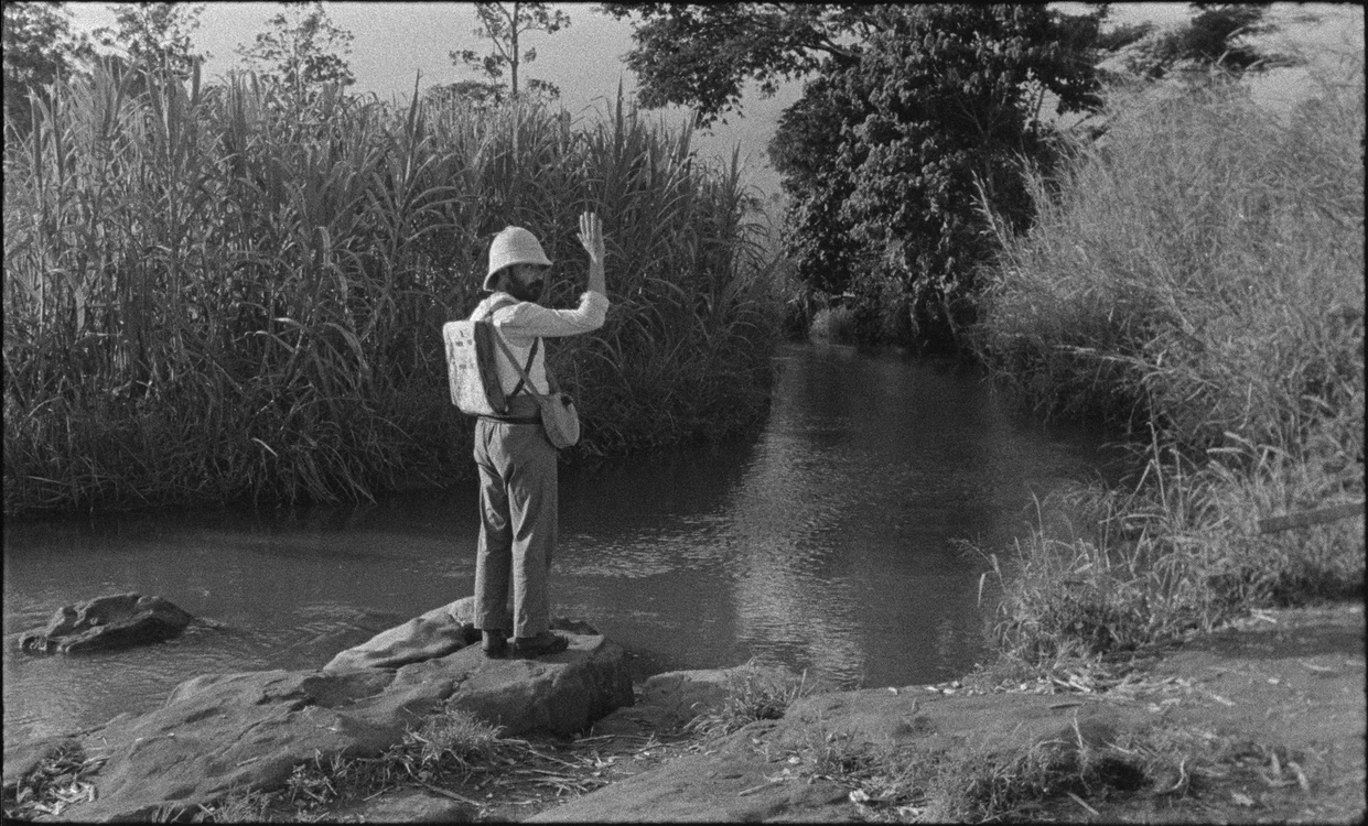 Noile filme mute jpeg