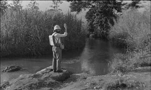Noile filme mute jpeg