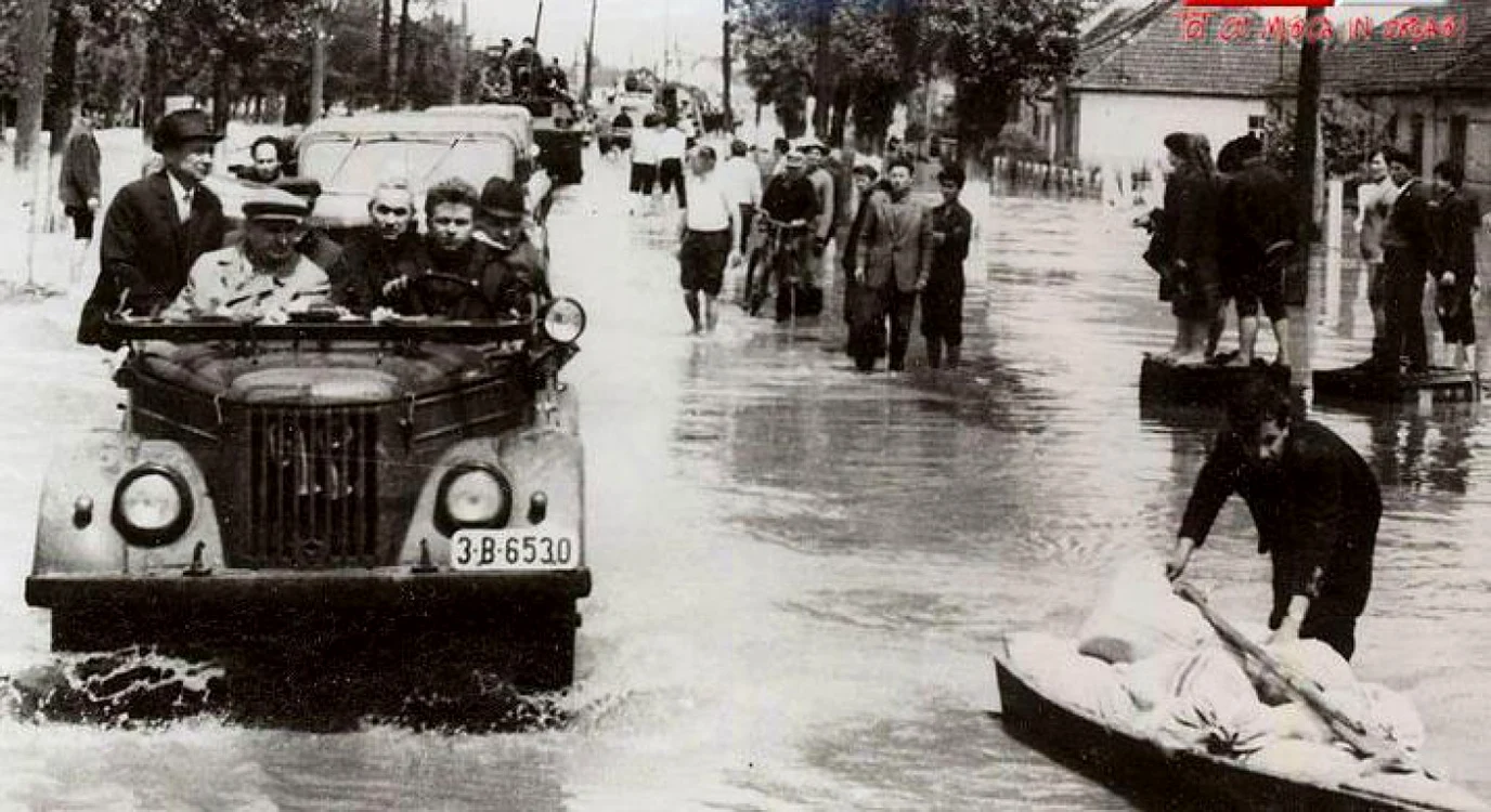 uglar inundatii