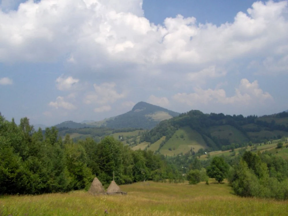 muntele mare-gilau foto