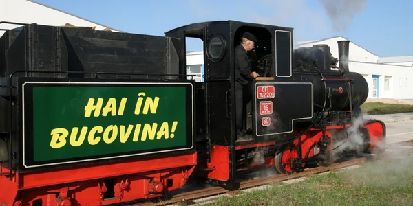 mocanita moldovita