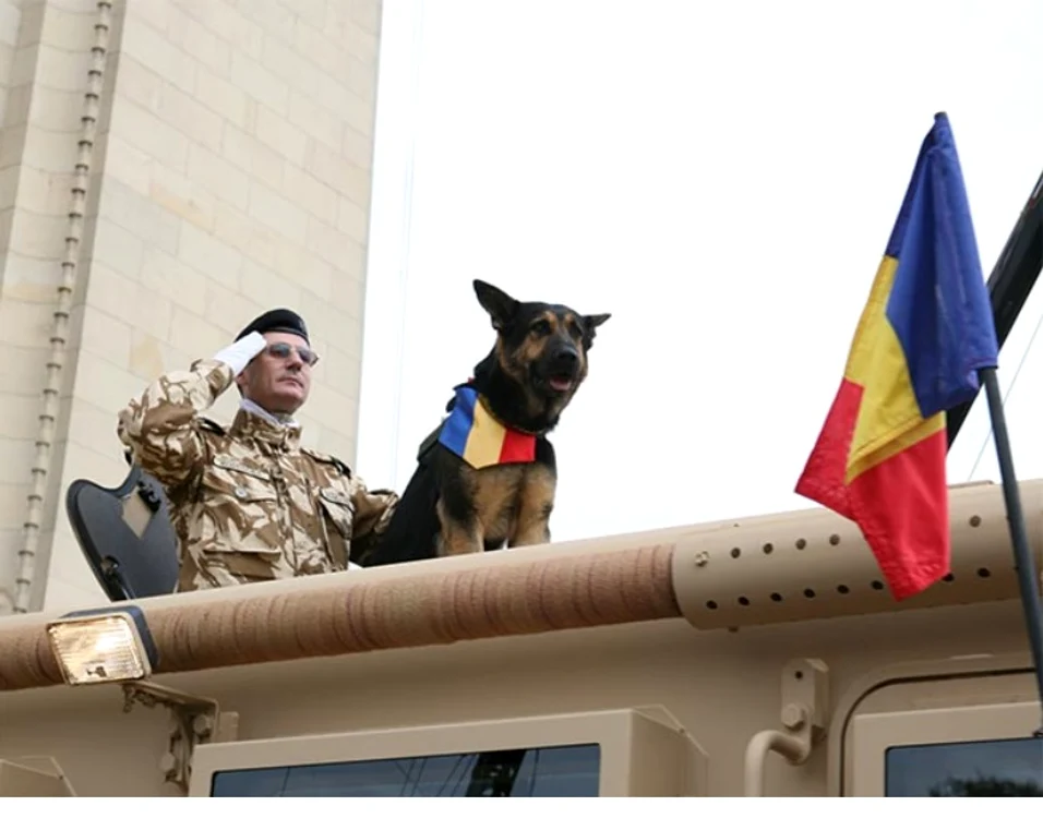 
    Max a fost vedeta paradelor de 1 decembrie, alături de partenerul său Plutonierul Major Valentin Roşioară  