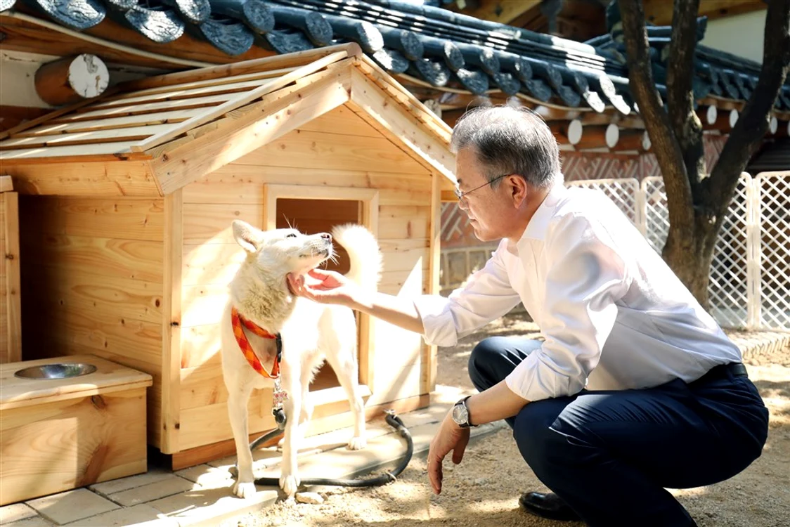 Moon Jae-in și un caine dăruit de Kim Jong Un Foto EPA EFE