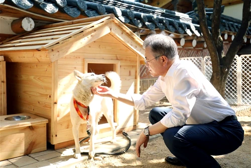 Moon Jae-in și un caine dăruit de Kim Jong Un Foto EPA EFE