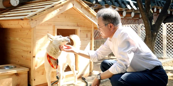 Moon Jae in si un caine daruit de Kim Jong Un Foto EPA EFE jpg