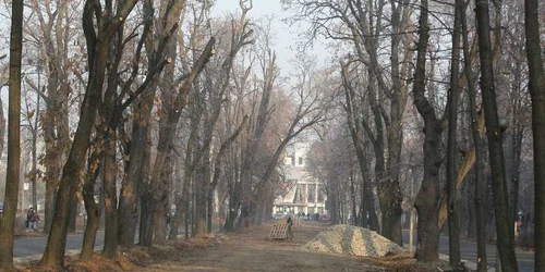 Protest pentru arborii din Parcul Central. FOTO: Arhivă