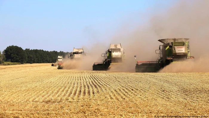 Recoltarea cerealelor în regiunea Harkov