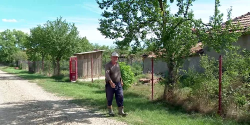 stalpu lucrare canalizare (1) png