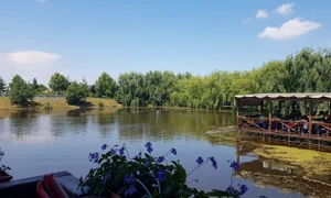 3 parcul comana jpg jpeg