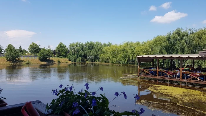Parcul Natural Comana, paradisul verde de lângă Capitală / foto: arhiva Click!