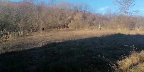 61f515f15163ec42714895ed jpg