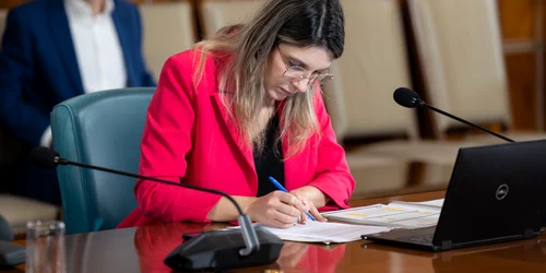 Diana Buzoianu, ministrul Mediului FOTO gov.ro