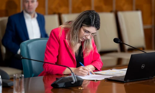 Diana Buzoianu, ministrul Mediului FOTO gov.ro