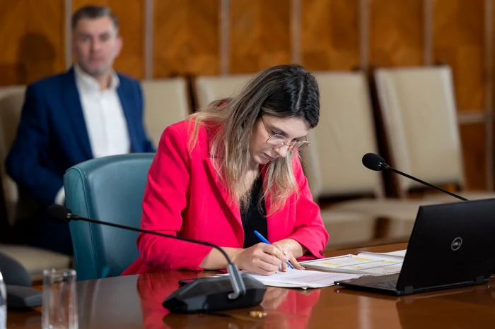 FOTO Guvernul României 