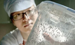 fabrica tantari121214521 0 jpeg