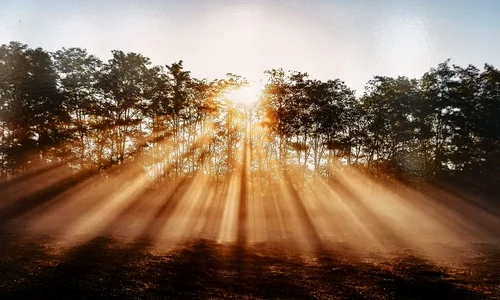 Foto: © Facebook / Muzeul de Istorie Națională și Arheologie Constanța