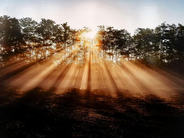 Foto: © Facebook / Muzeul de Istorie Națională și Arheologie Constanța