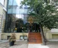 Cafe Antipa Aura Clara Marinescu