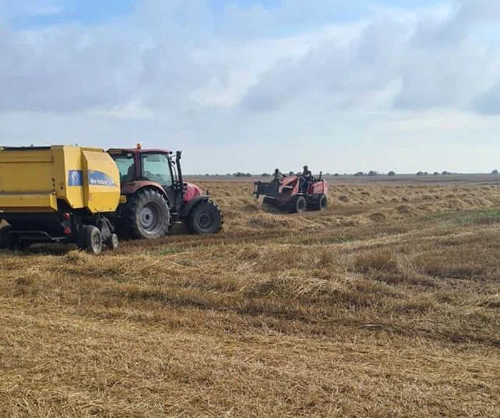 calarasi culturile agricole afectate de vremea extreme foto fac/puiu ilisei