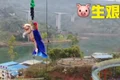 porc bungee jumping jpeg