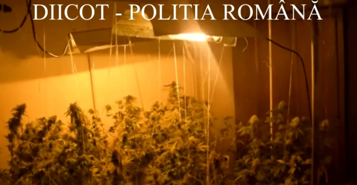 Captură video