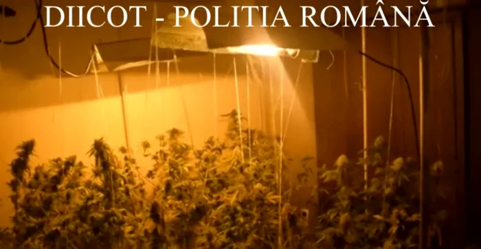 Captură video