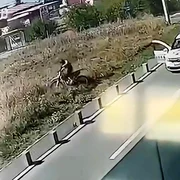 urmarire motociclist jpg