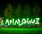 analogue 5 28 08 jpg