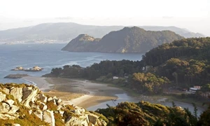 insula ons getty jpg