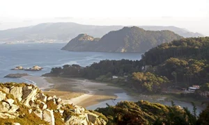 insula ons getty jpg