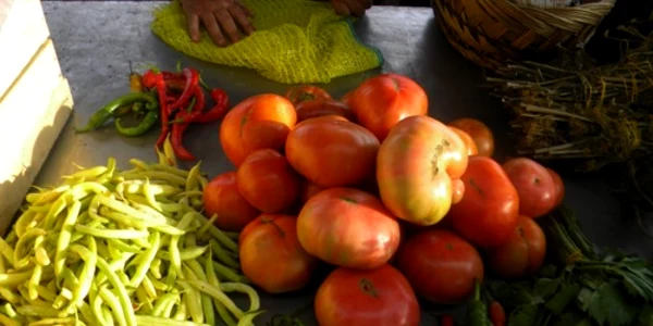 fructe legume 
