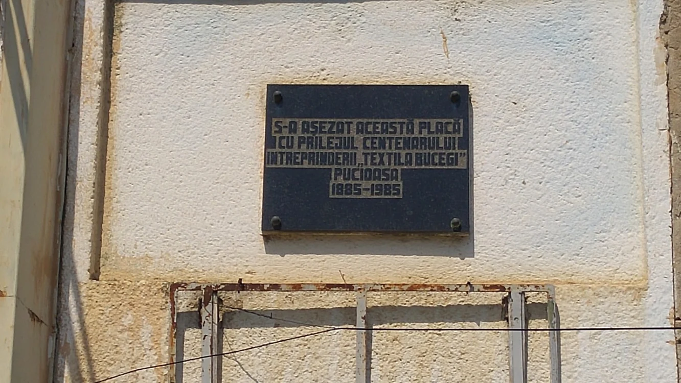trainica pucioasa