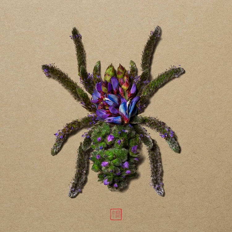 Tarantulă făcută din cactuși (Foto: Instagram)