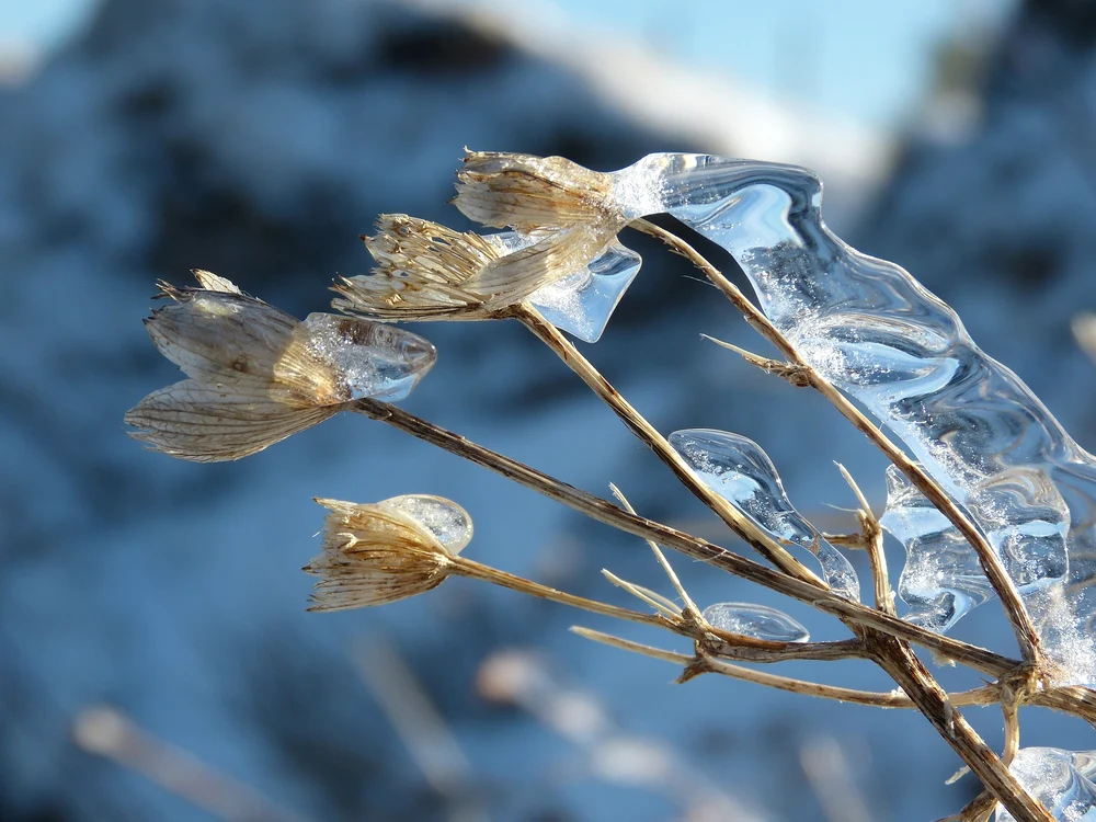 ANM a emis o informare de vreme rea Foto: Pixabay.com