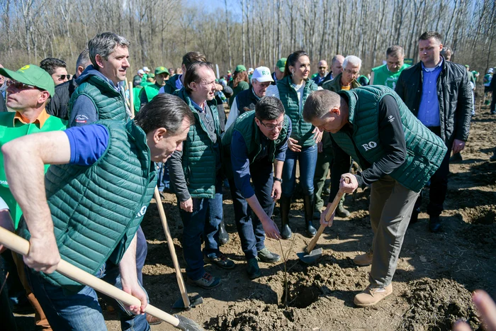 5 klaus iohannis plantare o padure cat o tara 5 jpg jpeg