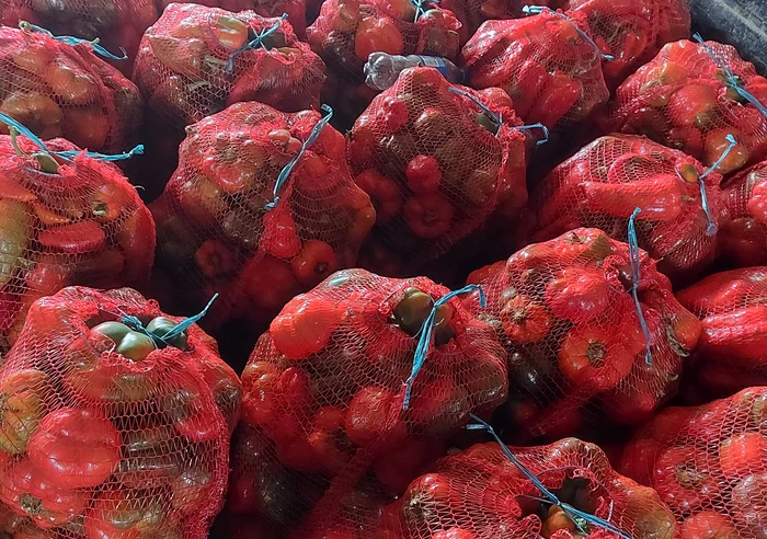 Producătorii de legume din Lungulețu au și la această dată gogoșari. FOTO Ștefania Rădoi / Facebook