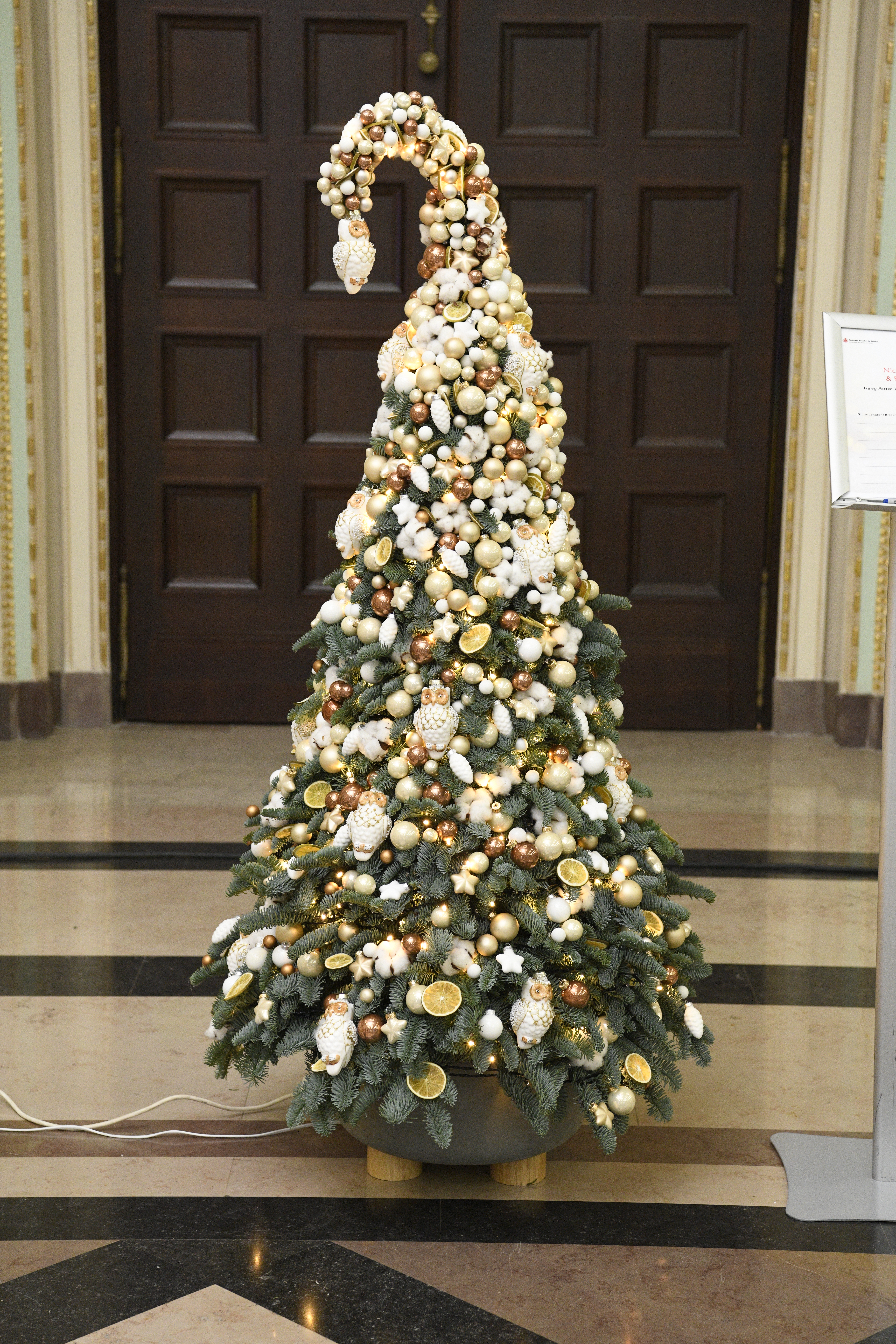 15 festivalul brazilor de craciun 2021 25 jpg jpeg