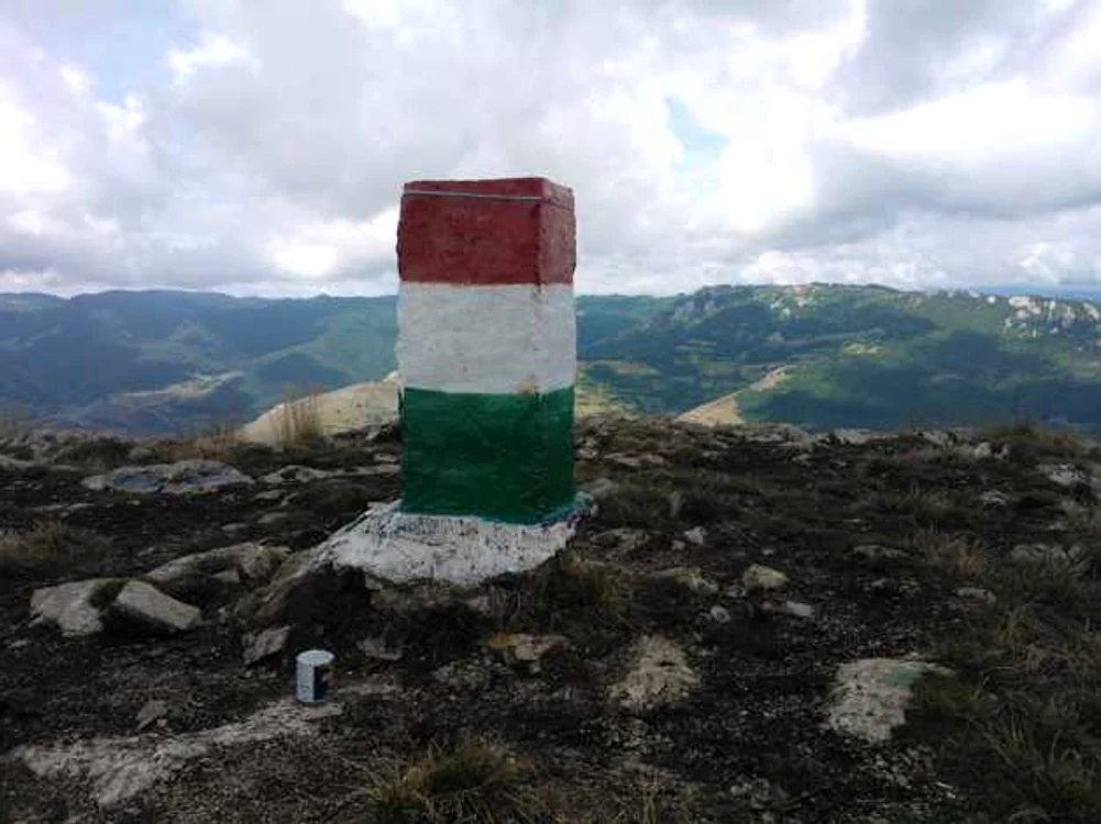 Mişcarea Tineretului din cele 64 de comitate foto Faceboox